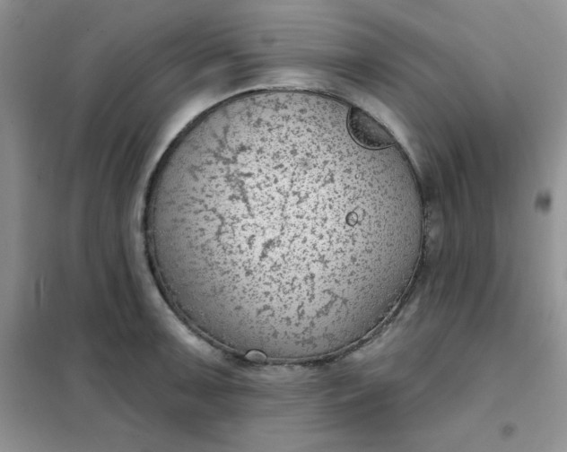 X0000101981091200808011054