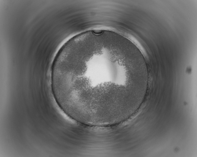 X0000101981092200808011054