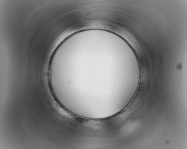 X0000101981094200808011054