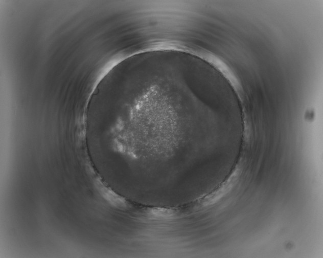 X0000101981097200808011054