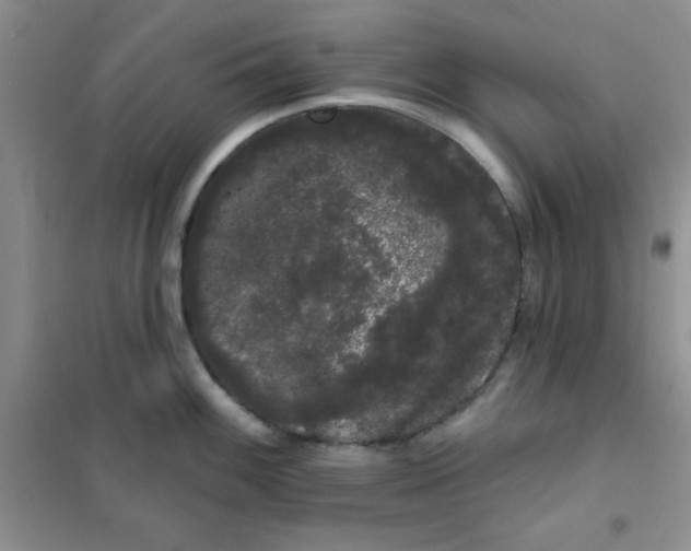 X0000101981100200808011054