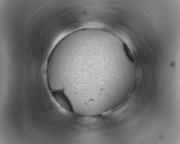 X0000101981103200808011054