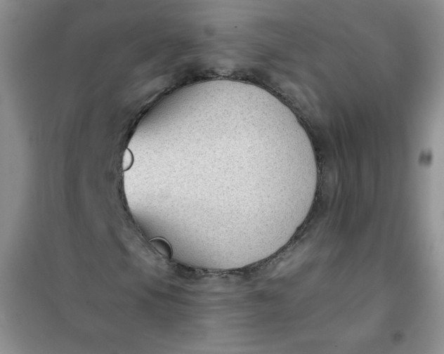 X0000101981105200808011053