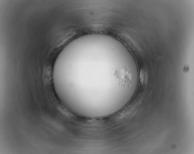 X0000101981107200808011053