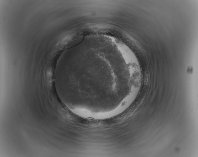 X0000101981108200808011053