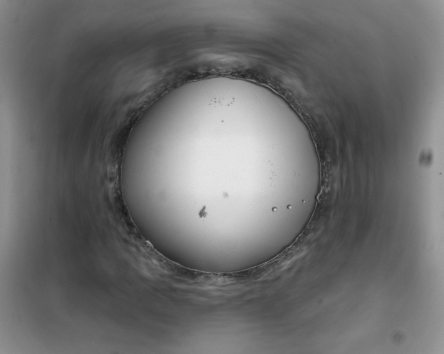 X0000101981109200808011053