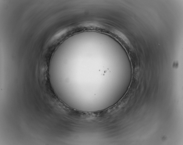 X0000101981111200808011053