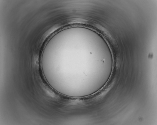 X0000101981113200808011053