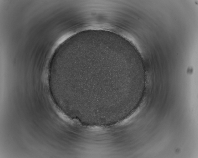 X0000101981114200808011053