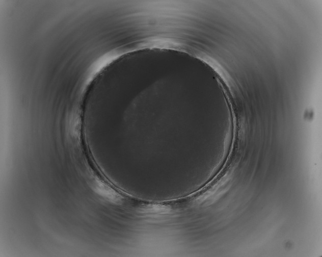 X0000101981115200808011053