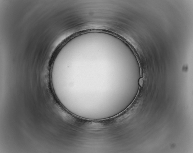 X0000101981119200808011053