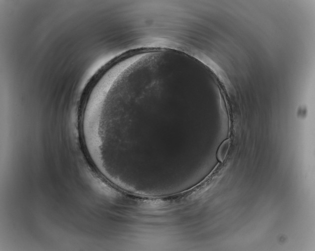 X0000101981120200808011053