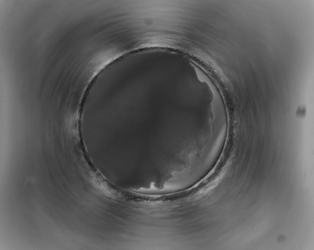 X0000101981121200808011053