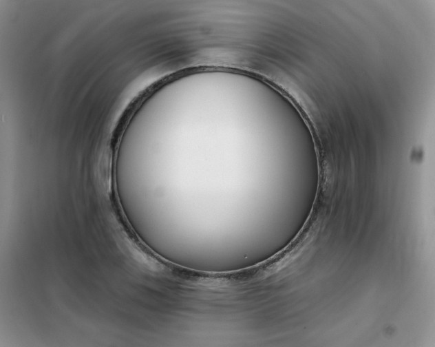 X0000101981123200808011053