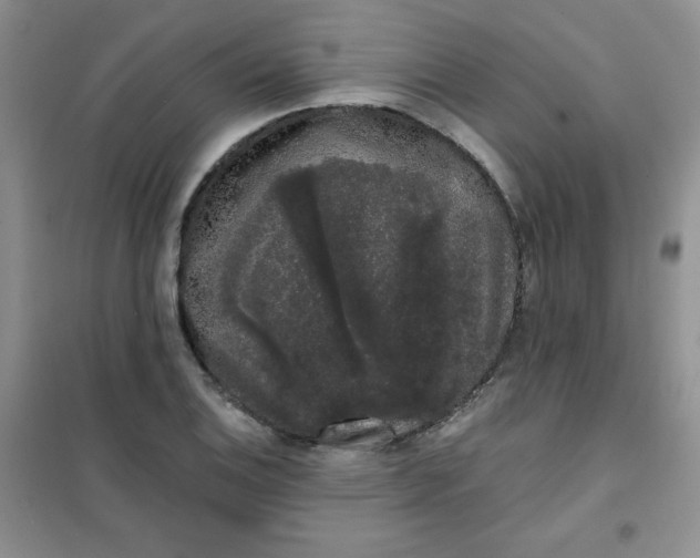 X0000101981124200808011053