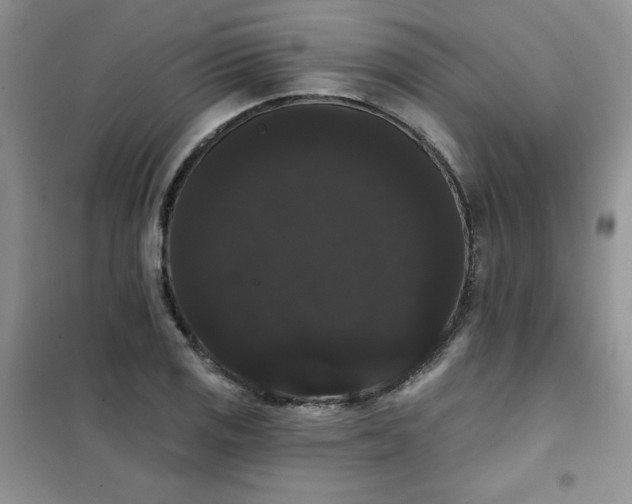 X0000101981125200808011053