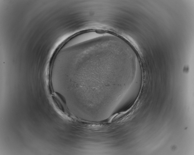 X0000101981128200808011053