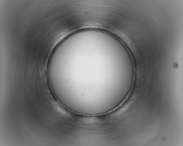 X0000101981129200808011053