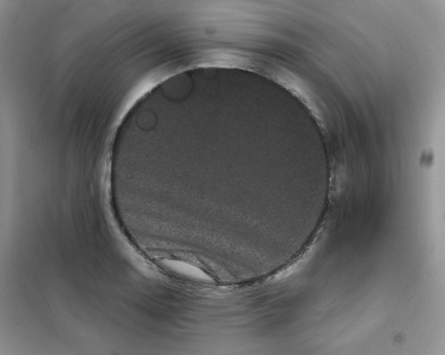 X0000101981130200808011053