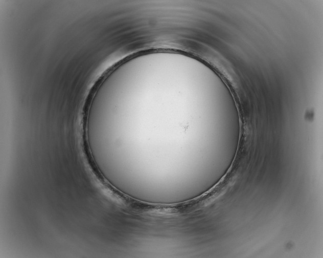 X0000101981133200808011053