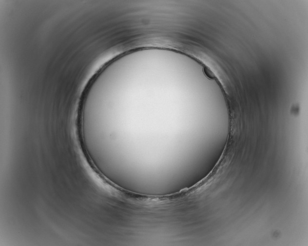 X0000101981139200808011053