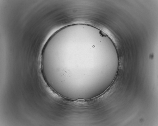 X0000101981140200808011053