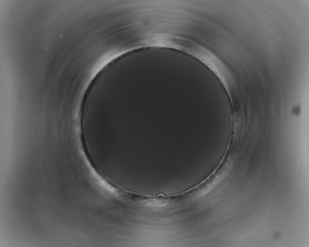 X0000101981141200808011053