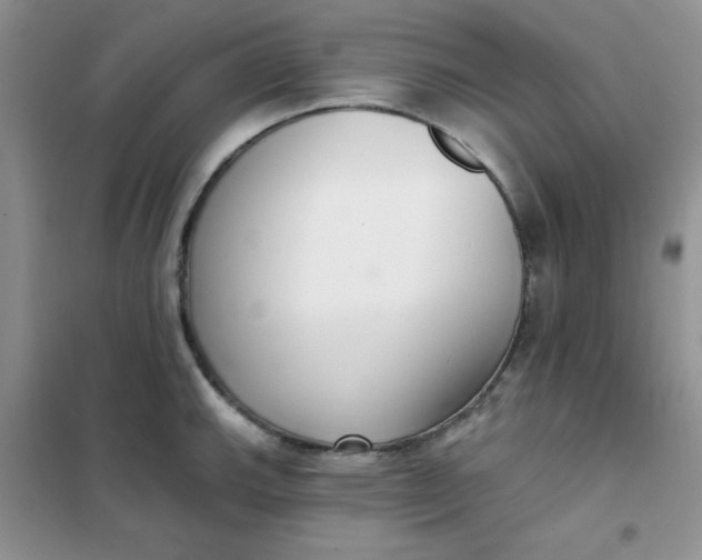 X0000101981143200808011053