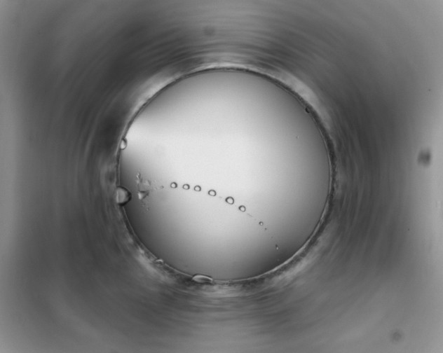 X0000101981145200808011053