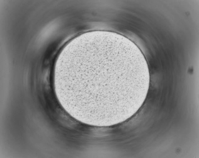 X0000101981150200808011053