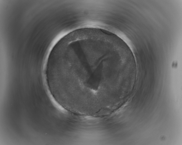 X0000101981152200808011053