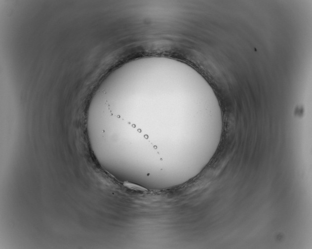 X0000101981153200808011053