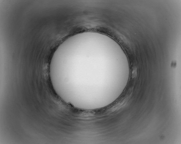 X0000101981156200808011053