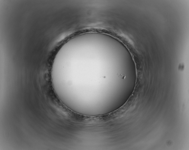 X0000101981159200808011053