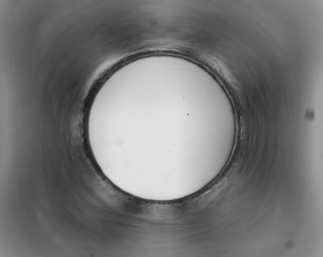 X0000101981164200808011053