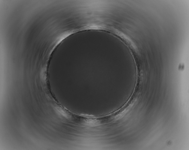 X0000101981170200808011053