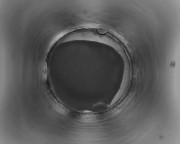 X0000101981171200808011053