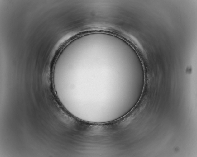 X0000101981172200808011053