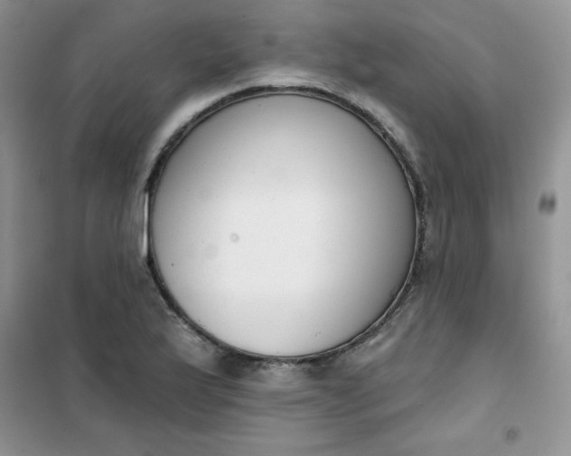 X0000101981175200808011053