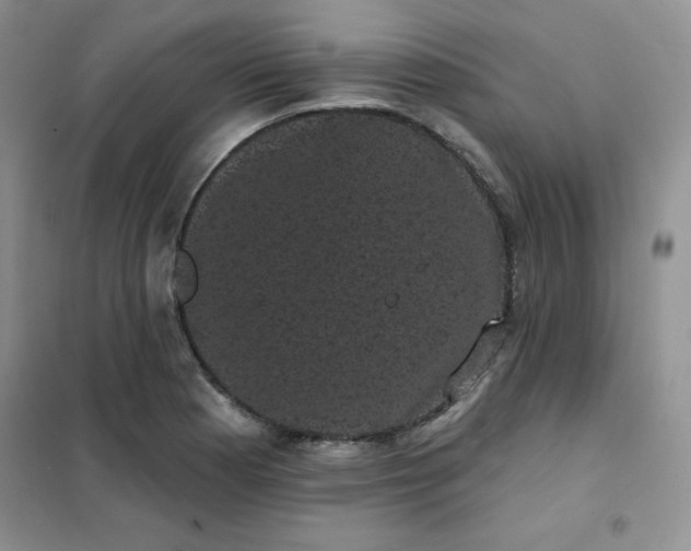 X0000101981177200808011052