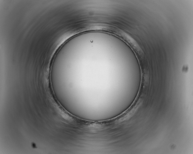 X0000101981178200808011052