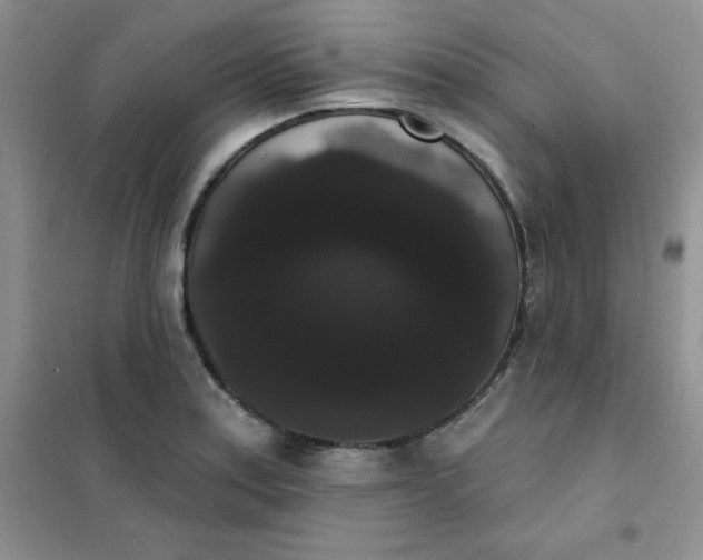 X0000101981179200808011052