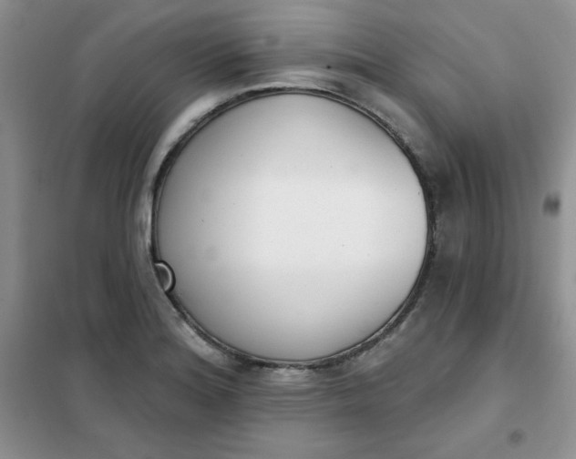 X0000101981180200808011052