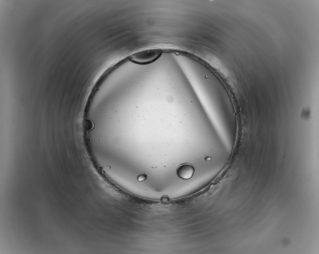 X0000101981181200808011052