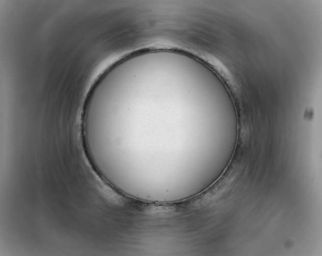 X0000101981183200808011052