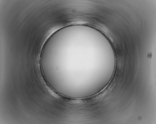 X0000101981186200808011052