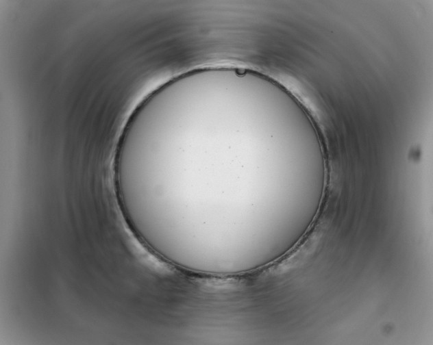 X0000101981189200808011052