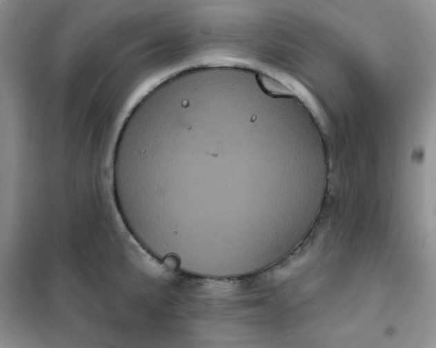 X0000101981191200808011052