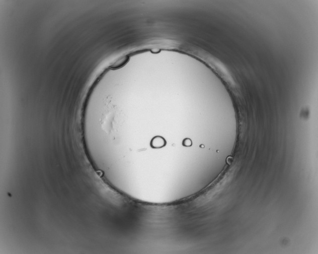 X0000101981192200808011052