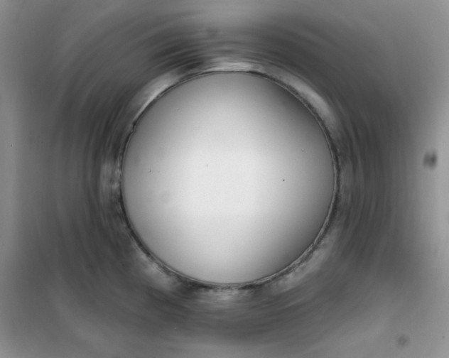 X0000101981193200808011052